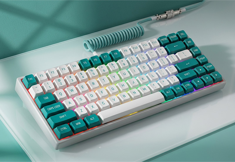 84-Key-Hot-Swappable-Magnetic-Axis-Competitive-Wired-Mechanical-Keyboard-With-Dual-8K-Performance-&-RGB-Lighting-VL84-Technical-Introduction