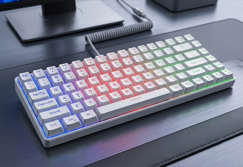 84-Keys-RGB-Backlit-Membrane-Keyboard-Type-C-Detachable-Wired-25-Key-Features-&-Highlights
