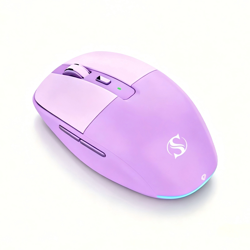 Ergonomic Dual-Mode Office Mouse Silent Switches USB-A/USB-C Receivers 500mAh Model M101